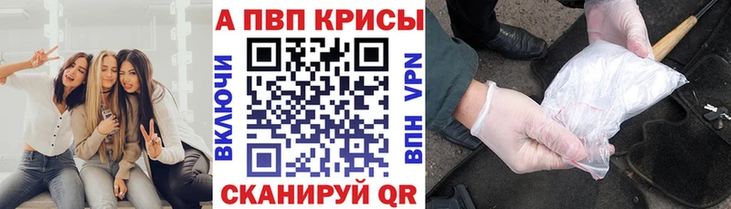 как найти наркотики  Новосокольники  kraken зеркало  Alfa_PVP СК КРИС 