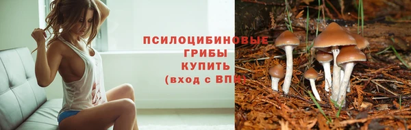 крисы Богородицк