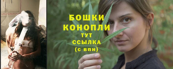 крисы Богородицк
