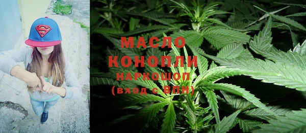 крисы Богородицк