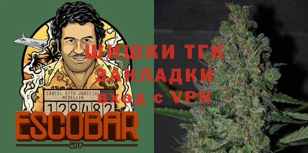 крисы Богородицк