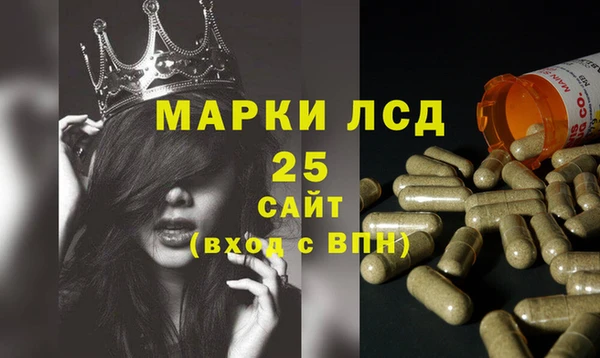 молекула духа Покровск