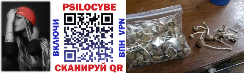 Галлюциногенные грибы ЛСД  Новосокольники 