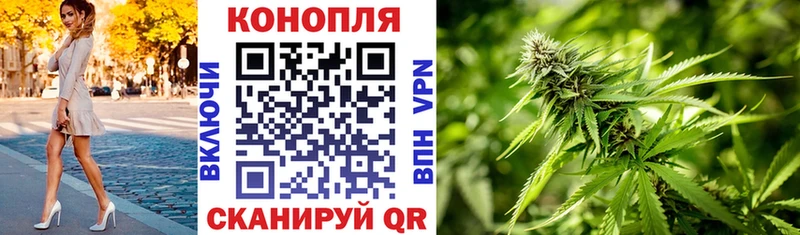 Шишки марихуана план цена blacksprut ссылка Новосокольники